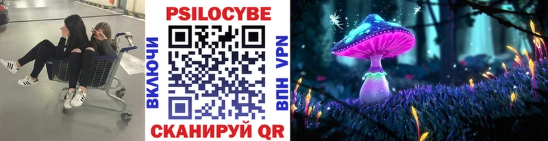 Псилоцибиновые грибы мицелий  Десногорск 