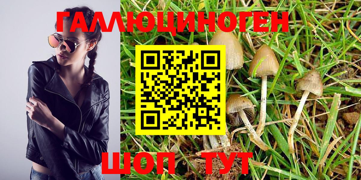 Десногорск  Псилоцибиновые грибы MAGIC MUSHROOMS  где найти   Вход с VPN 