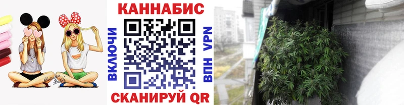 Бошки марихуана THC 21%  Десногорск 